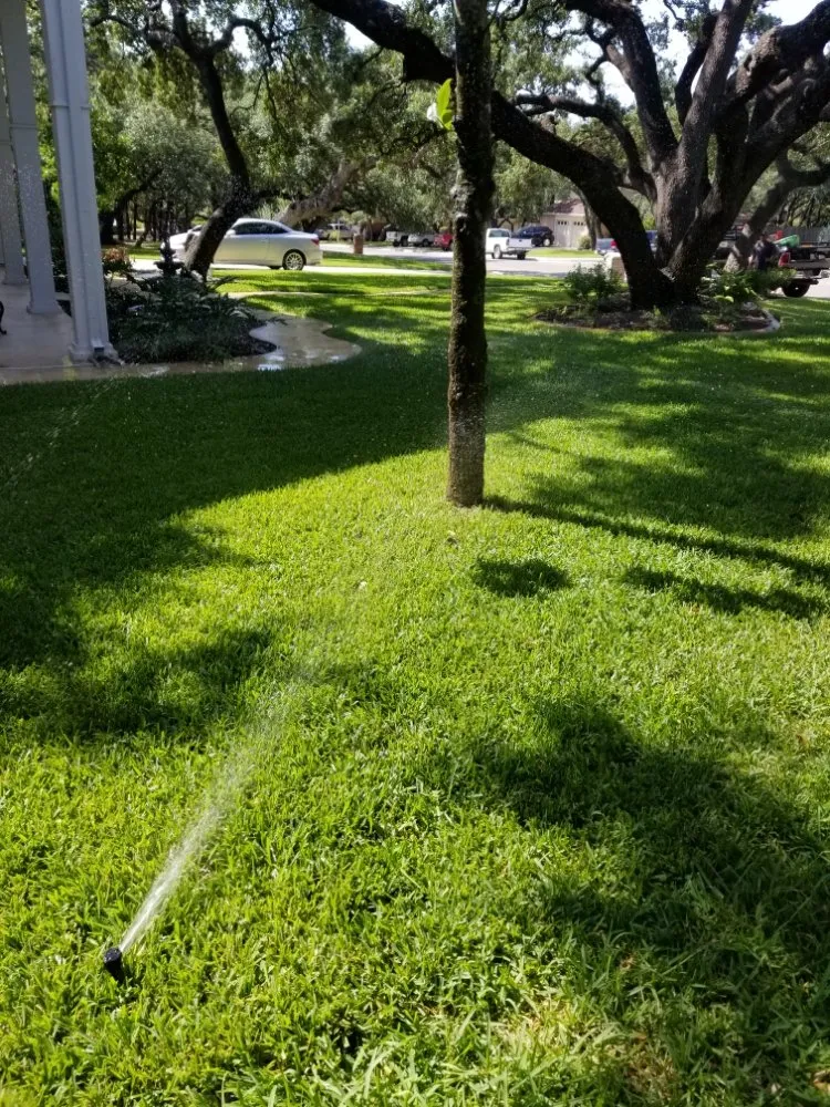 Top-rated yard cleanup service in Arlington, VA by Mother Nature Irrigation and Landscaping