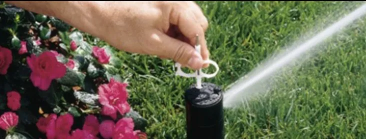 Trusted yard maintenance in Arlington, VA by Mother Nature Irrigation and Landscaping