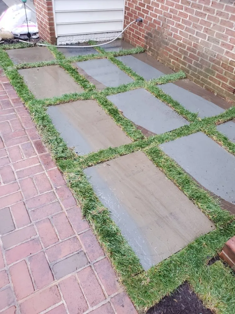 Trusted landscaping services in Arlington, VA by Mother Nature Irrigation and Landscaping