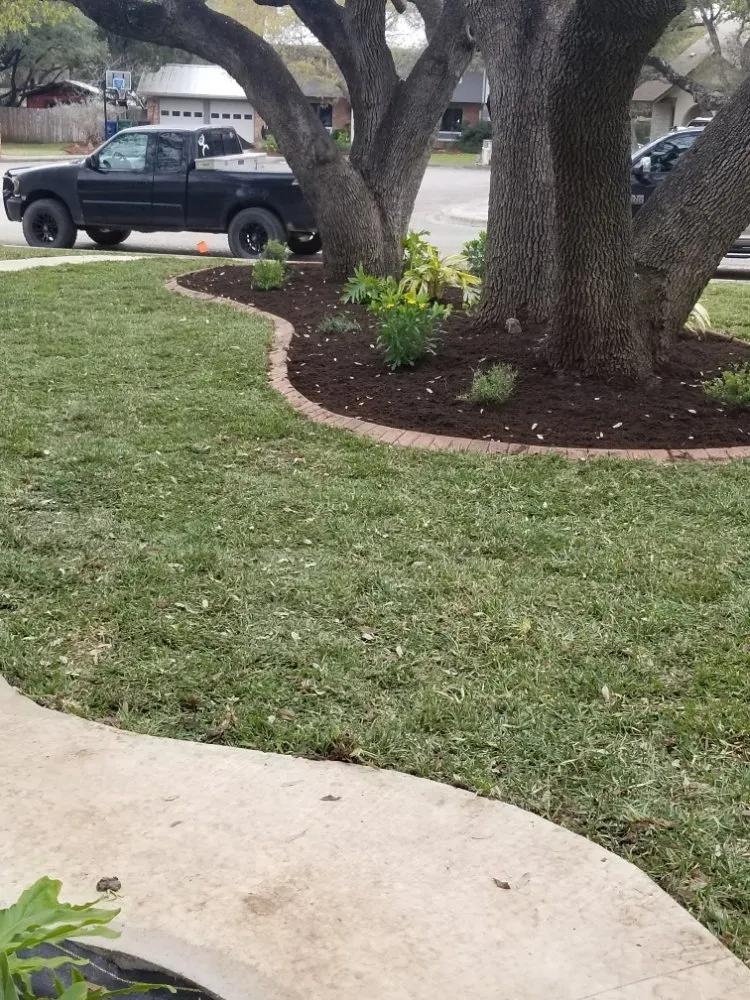 Reliable landscaping services experts serving Arlington, VA - Mother Nature Irrigation and Landscaping