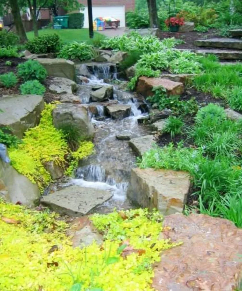 Trusted lawn care service for homes across Batesburg-Leesville, SC - Mother Nature Landscaping and Construction
