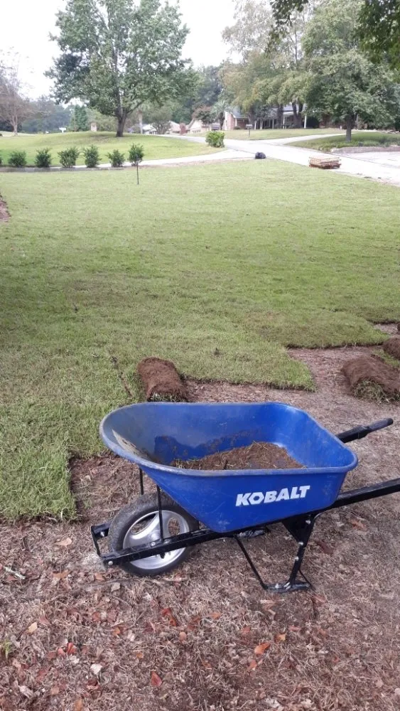 Custom landscape installation for beautiful yards across Batesburg-Leesville, SC - Mother Nature Landscaping and Construction