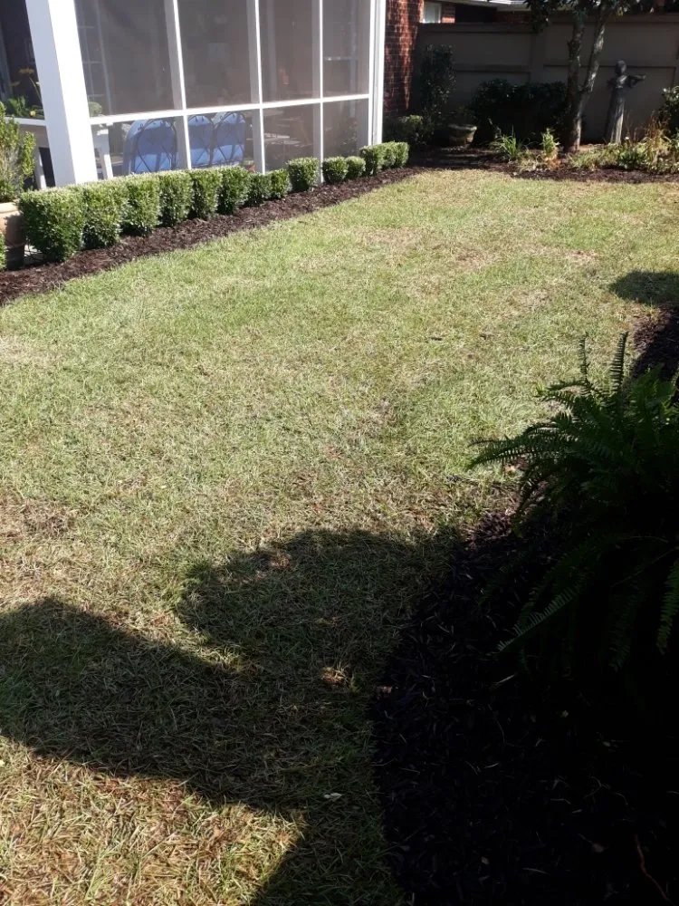 Local residential landscaping for outdoor upgrades in Batesburg-Leesville, SC by Mother Nature Landscaping and Construction
