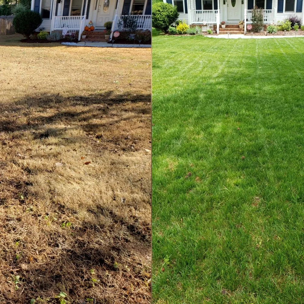 Affordable lawn mowing service for homes in Clayton, NC by Mother Nature's Assistant