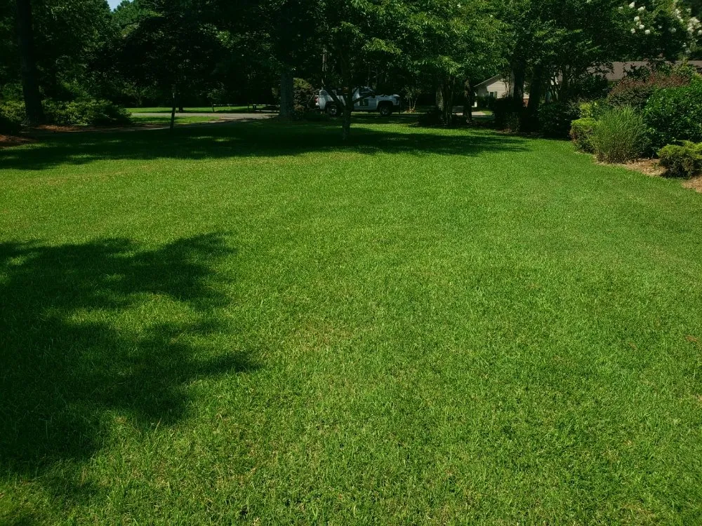 Expert yard maintenance in Clayton, NC by Mother Nature's Assistant