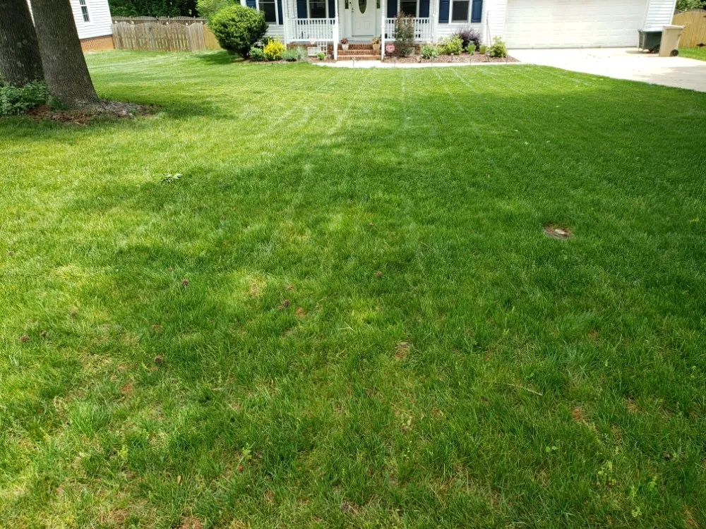 Local outdoor landscaping for beautiful yards across Clayton, NC - Mother Nature's Assistant