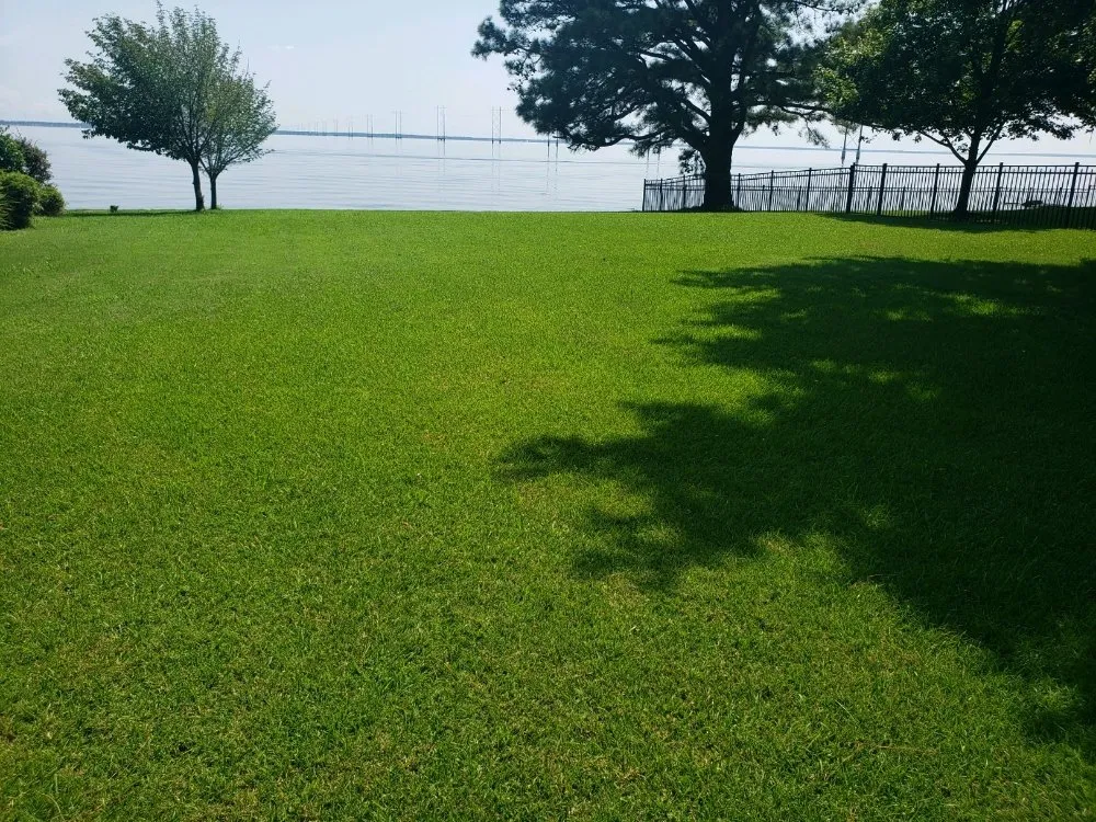 Local landscape installation experts serving Clayton, NC - Mother Nature's Assistant