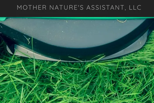 Mother Nature's Assistant Logo