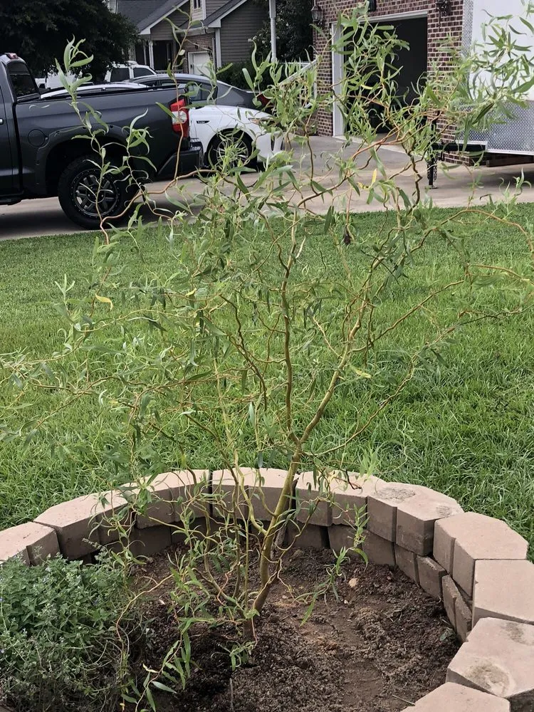 Expert lawn mowing service in Spring Lake, NC - Mother Nature's Lawns & Landscapes