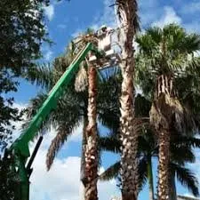 Custom residential landscaping with custom design in Port Saint Lucie, FL by Mother Nature's