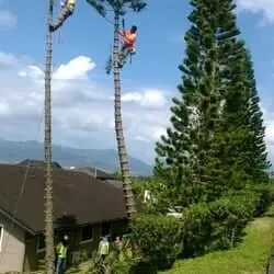 Trusted lawn mowing service experts serving Port Saint Lucie, FL - Mother Nature's