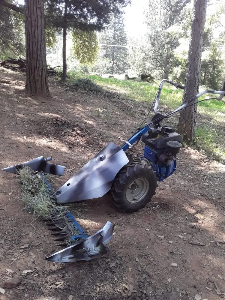 Professional landscape installation for outdoor upgrades across Pine Grove, CA - Motherlode Outsiders Maintenance