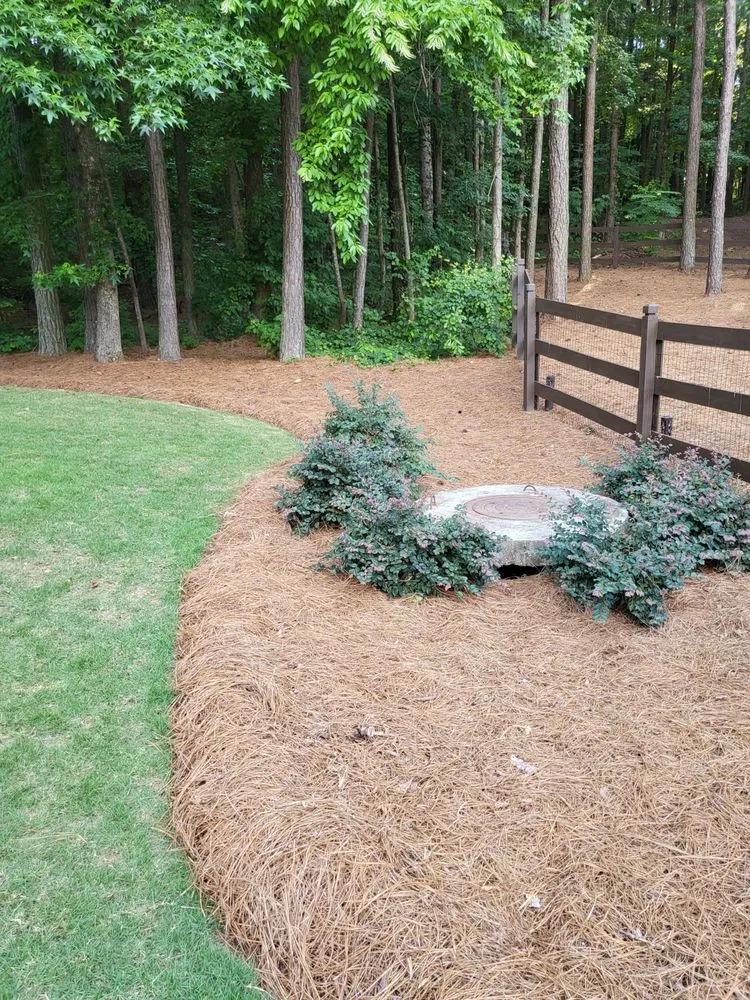 Expert lawn care service for beautiful yards in Dallas, GA by Mother's Evergreen Lawn Care