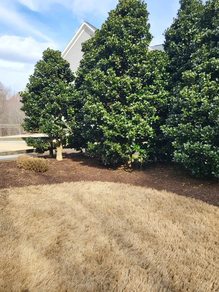 Local landscape installation near you in Dallas, GA by Mother's Evergreen Lawn Care