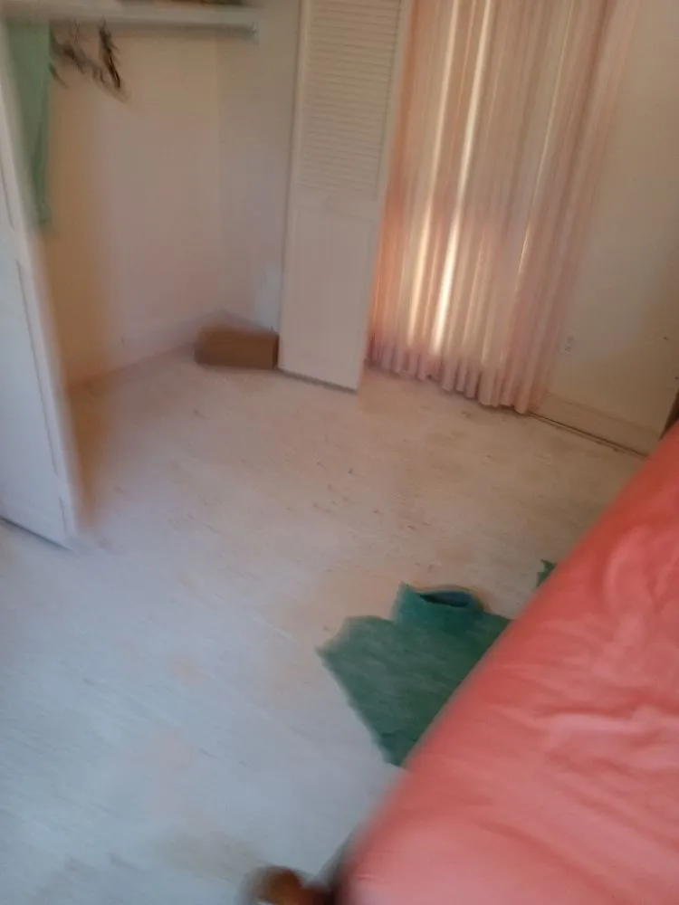 Custom landscape design in Delray Beach, FL - Mother's Little Helper