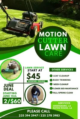 Motion Lawn Services Logo