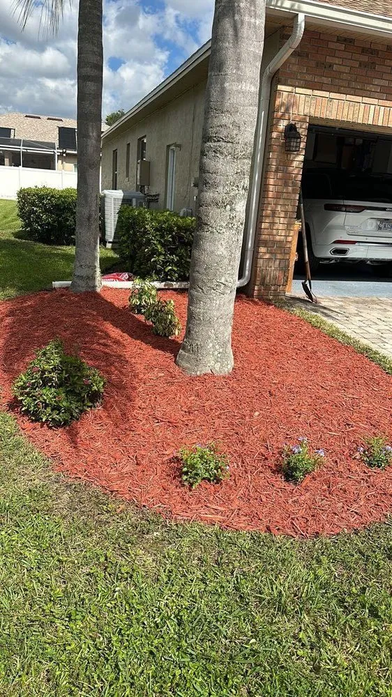 Expert yard cleanup service for outdoor upgrades across Orlando, FL - Motivated Lawn Service