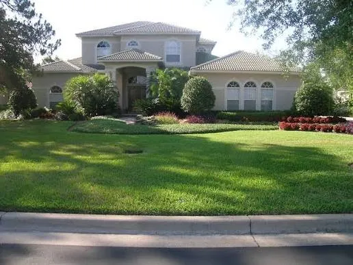 Custom lawn care service experts serving Orlando, FL - Motivated Lawn Service