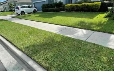 Affordable residential landscaping in Orlando, FL by Motivated Lawn Service