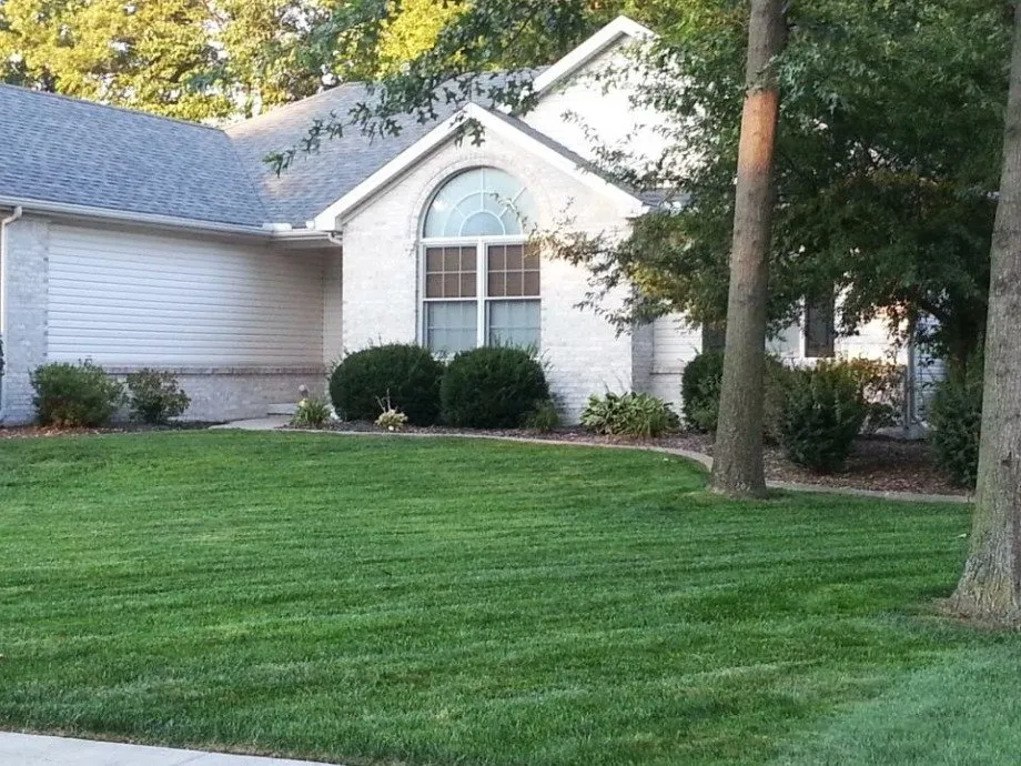 Professional lawn mowing service for year-round maintenance across Orlando, FL - Motivated Lawn Service