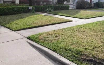 Affordable outdoor landscaping with custom design across Orlando, FL - Motivated Lawn Service