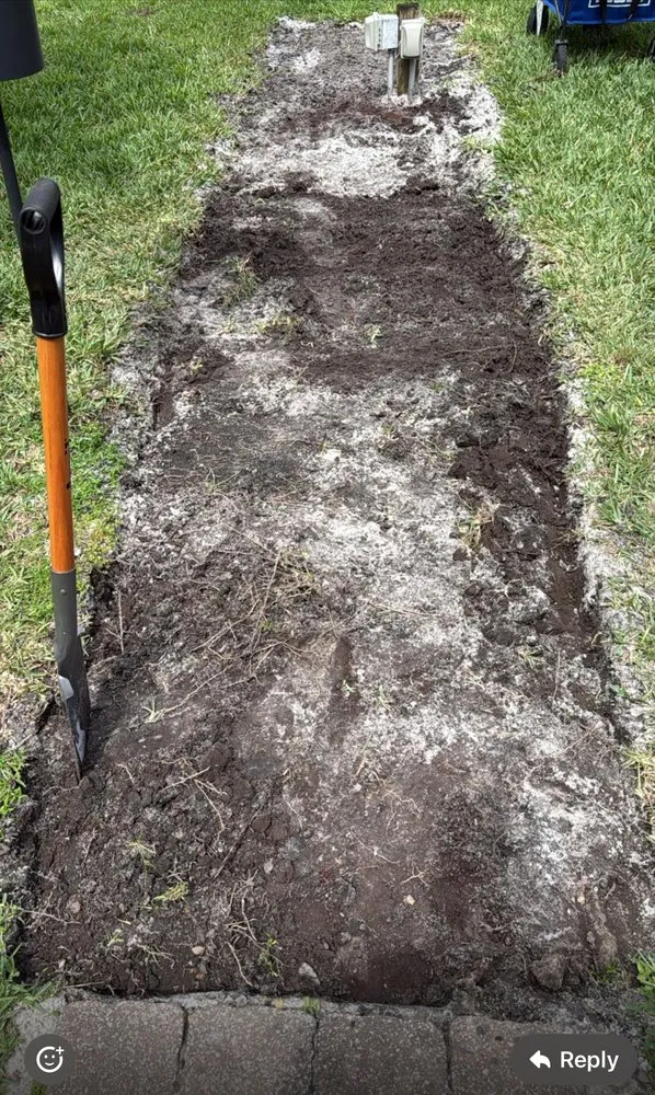 Expert yard cleanup service in Orlando, FL by Motivated Lawn Service