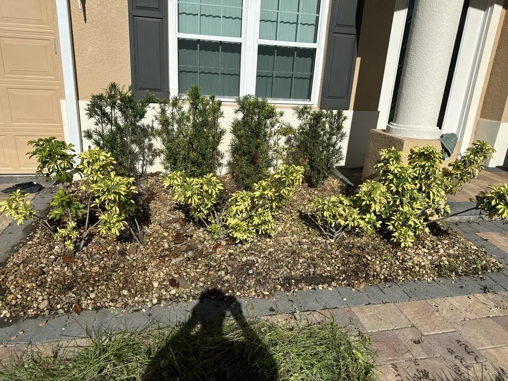 Reliable landscape design in Orlando, FL by Motivated Lawn Service