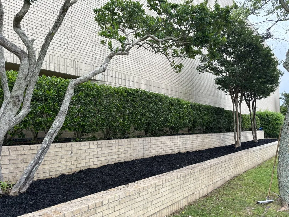 Professional yard maintenance in Monroe, LA - Motivated Lawncare