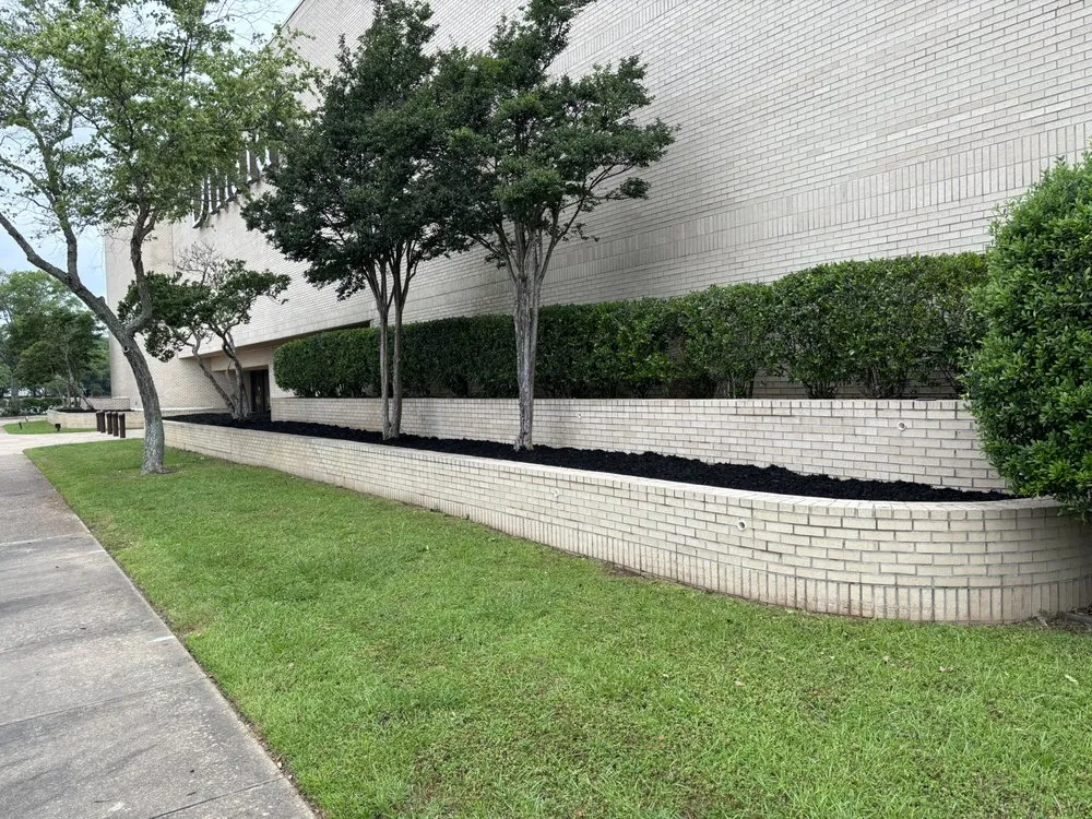 Reliable yard cleanup service in Monroe, LA - Motivated Lawncare