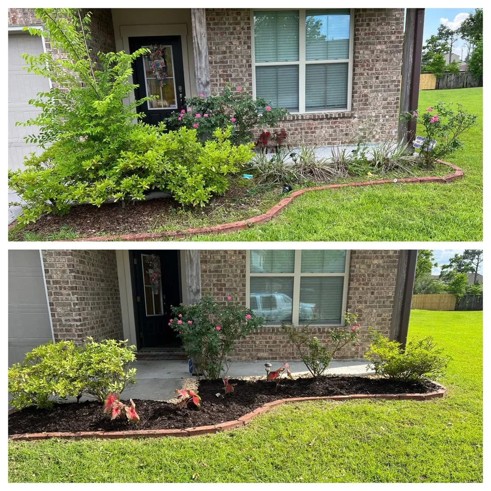 Professional yard cleanup service in Baker, LA by Moton Lawn Care