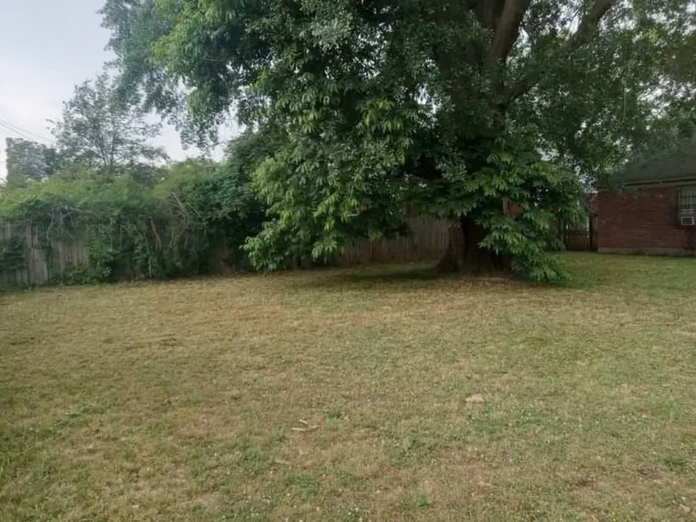 Trusted residential landscaping in Memphis, TN - Motons Lawn Services & Landscaping