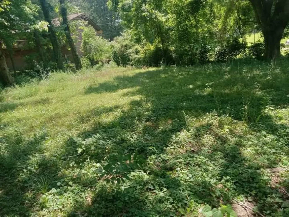 Trusted lawn care service in Memphis, TN - Motons Lawn Services & Landscaping