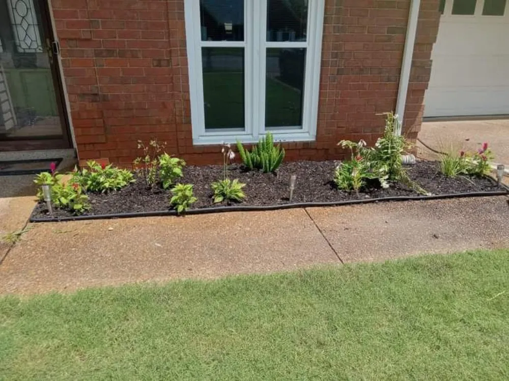 Trusted yard maintenance in Memphis, TN - Motons Lawn Services & Landscaping