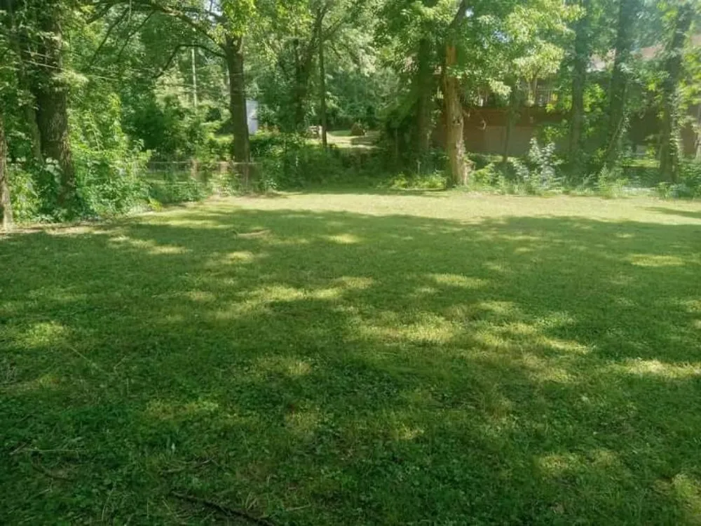 Expert yard cleanup service experts serving Memphis, TN - Motons Lawn Services & Landscaping