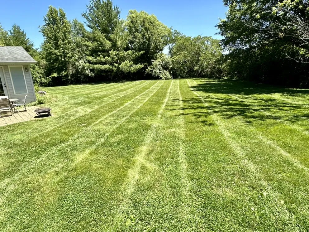 Trusted yard cleanup service in Springfield, IL - Motor Mouth Mowing