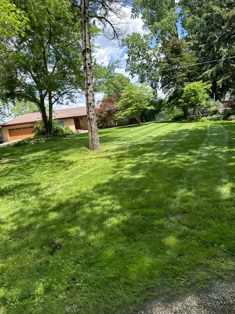 Custom garden landscaping near you across Springfield, IL - Motor Mouth Mowing