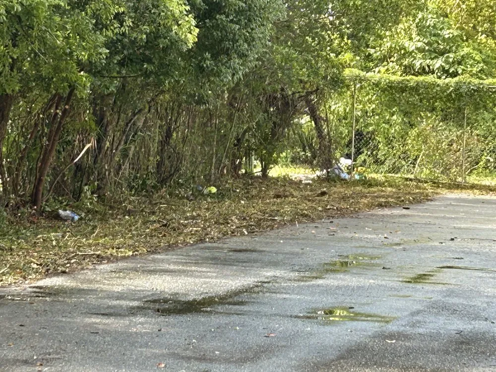 Custom landscape installation in Anthony, FL - Motovation Property Solutions
