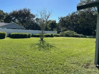 Affordable yard cleanup service in Anthony, FL by Motovation Property Solutions