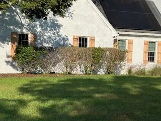 Top-rated landscaping services experts serving Anthony, FL - Motovation Property Solutions