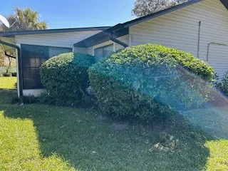 Affordable yard cleanup service with custom design in Anthony, FL by Motovation Property Solutions