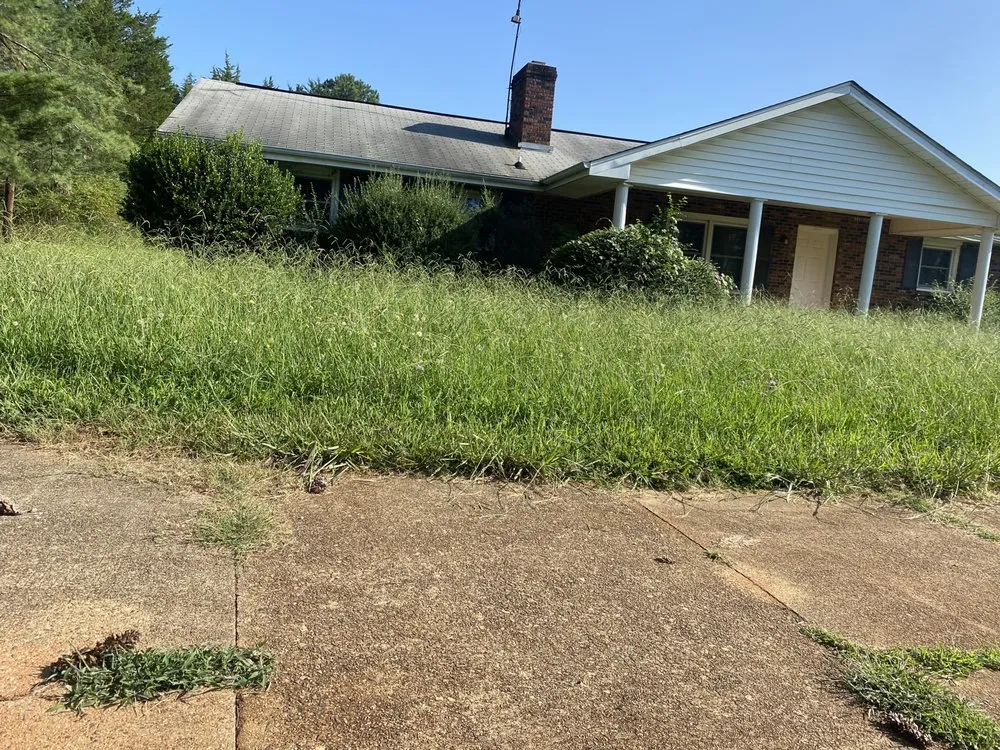 Local outdoor landscaping in Charlotte, NC by Mo&Trev Lawn Care Services