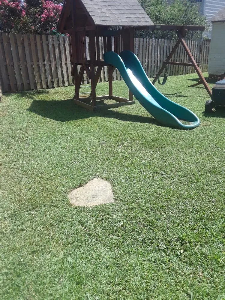 Expert residential landscaping in Charlotte, NC by Mo&Trev Lawn Care Services