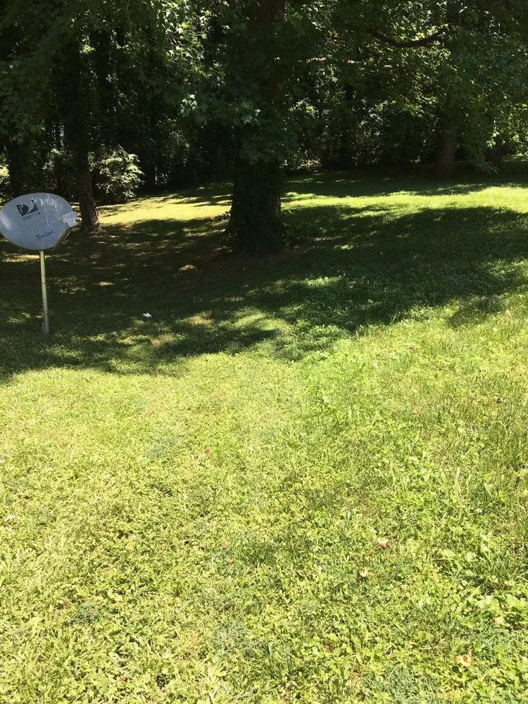 Professional outdoor landscaping for year-round maintenance across Charlotte, NC - Mo&Trev Lawn Care Services