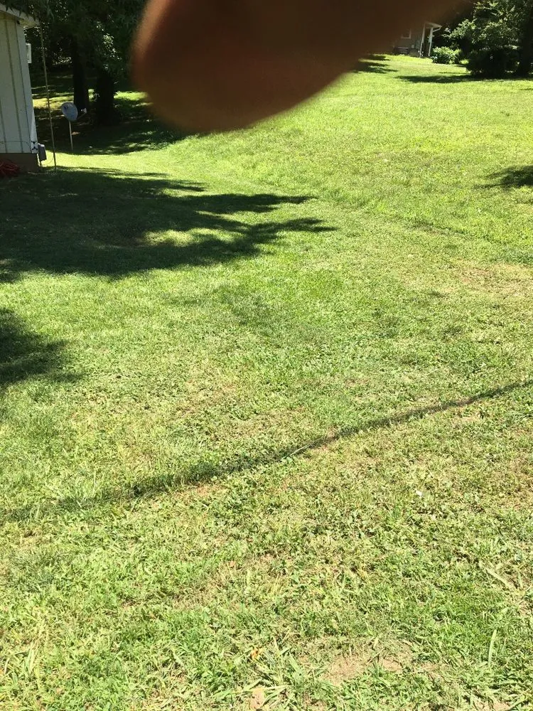 Top-rated lawn care service for residential properties in Charlotte, NC by Mo&Trev Lawn Care Services