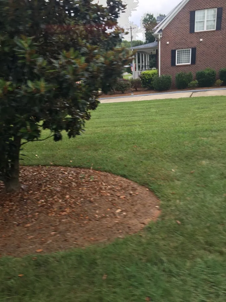 Trusted outdoor landscaping for outdoor upgrades in Charlotte, NC by Mo&Trev Lawn Care Services