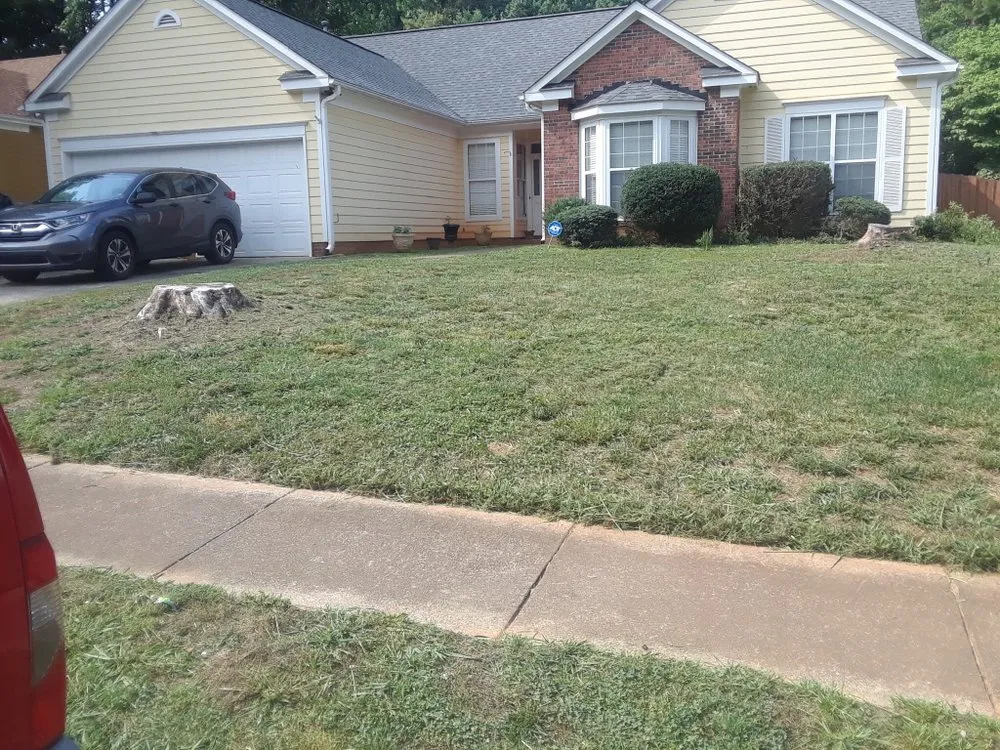Trusted landscaping services in Charlotte, NC - Mo&Trev Lawn Care Services