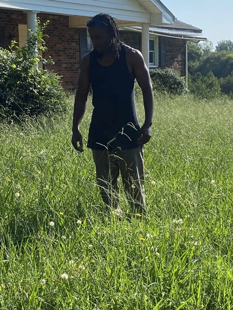 Local landscaping services in Charlotte, NC by Mo&Trev Lawn Care Services