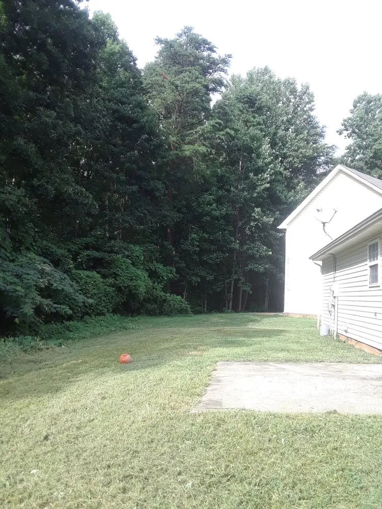 Expert lawn care service for beautiful yards across Charlotte, NC - Mo&Trev Lawn Care Services