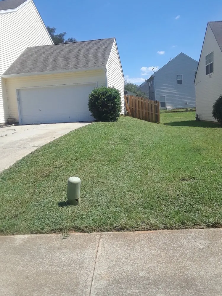 Affordable lawn care service experts serving Charlotte, NC - Mo&Trev Lawn Care Services