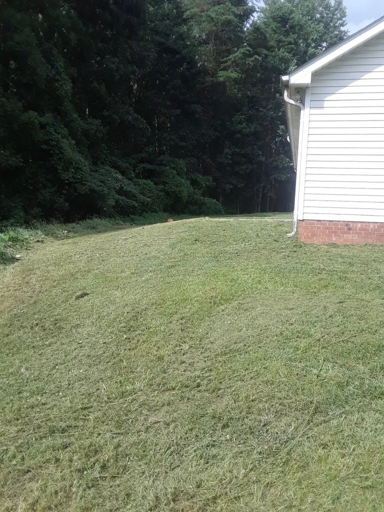 Affordable landscape design in Charlotte, NC - Mo&Trev Lawn Care Services